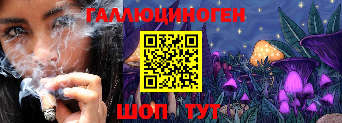 Галлюциногенные грибы GOLDEN TEACHER  Вход с VPN  Семилуки  Псилоцибиновые грибы MAGIC MUSHROOMS 